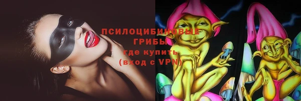 метадон Новодвинск