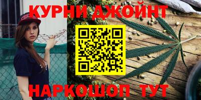 молекула духа Жуковский