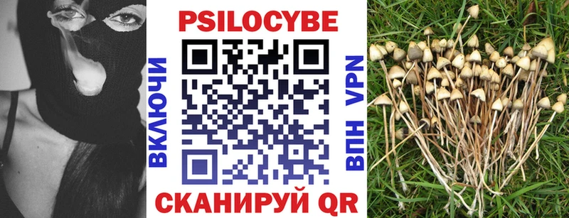Галлюциногенные грибы Psilocybine cubensis  Саратов 