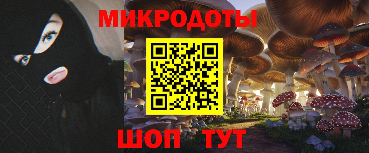 Псилоцибиновые грибы прущие грибы Саратов